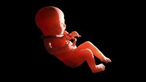 Umbilical cord entanglement is a major cause of HIE. If your doctor missed this, speak with our hypoxic ischemic encephalopathy lawyers in Montana.